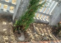 Thi công hạ tầng