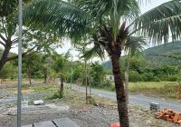 Thi công dự án Helen Crown